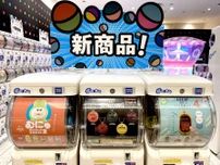 可愛いがとまらなぁぁぁいッッ♡【ガチャ】思わず回しちゃう！「食品ミニチュア」