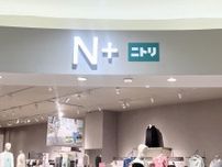 えっ【ニトリのN+】で買えるの！？ おしゃれ夏服を発見！