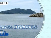 糸島ドライブついでに、様々な魚が狙える人気ポイント「西浦漁港」【福岡市西区】