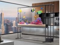 世界初の透過型ワイヤレス4K有機ELテレビ「LG SIGNATURE OLED T」7月1日より受注販売開始