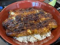 浜名湖養魚漁業協同組合が直営しているうなぎ専門店で味わう最高傑作「でしこ」とは？ / 静岡県浜松市の「浜名湖うなぎ 丸浜」