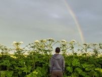 北海道「むやみに触らないで」　北海道で見つかった植物に「知らなかった」「怖すぎる」