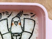 『海苔アート』で作ったオカメインコ　下のほうには…「そうきたか！」「強そう」