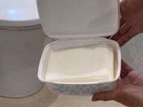 「ついで掃除」は危険！　トイレでやりがちなNG行動に要注意