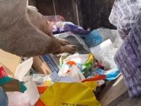 「まだ生きてる！」　ゴミの山から見つかったのは…「信じられない」