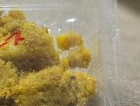 インドカレーを買ったら…　もらった『おまけ』に「今日イチ笑った」「グッとくる」
