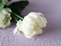 【訃報】皆川おさむさんが逝去　「まだまだ若いのに残念」「ご冥福をお祈りします」
