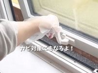 窓周辺にカビ汚れを見つけたら？　増える前にやっておくべきお手入れ術