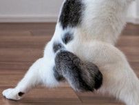 「勧誘されたらつい鬼になっちゃうかも」　『鬼滅の刃』を彷彿とさせる1枚が話題に！