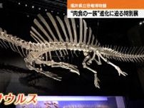 福井県立恐竜博物館「獣脚類」テーマの特別展開催中