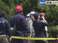男性を襲ったクマは４年前にも女性襲撃　DNAから判明…しかし駆除されたクマがそのクマかどうか調査中　北海道福島町