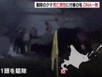 駆除したクマのDNA型が死亡男性の衣類に付着の体毛などと一致　4年前に70代女性が犠牲になったケースとも　北海道福島町