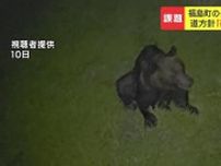 ヒグマに襲われ新聞配達員の男性死亡 相次いでいた出没に専門家は「町の対応が後手に回った」と指摘 町は「対策の想定を超えていた」と説明 北海道福島町