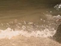 「海で泳いでいた息子がいなくなった」と母親から通報 小学生の7歳男の子がおぼれて死亡  家族4人で海水浴 愛知・常滑市りんくうビーチ