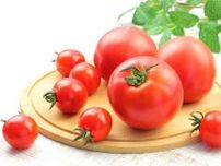 ミニトマトと大玉トマト、栄養価が2倍も違うのは本当？　1日の適量とは　栄養士に聞いた
