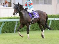 【セレクトセール２０２５】新種牡馬ピクシーナイトの牡馬が７２００万円で落札　２１年のスプリンターズＳ勝ち馬