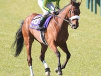 サトノレイナスはイクイノックス産駒の牡馬が誕生　現在はドウデュースを受胎中　
