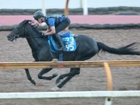 【小倉記念】ディープモンスターは悲願の重賞Ｖへ上々の動き　陣営「重賞タイトルを取らせてあげたい」
