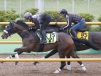 【函館２歳Ｓ】カイショーは馬の後ろに入れ折り合い確認　陣営「滞在でずっと順調」
