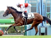 【注目馬動向】函館で圧勝のショウナンガルフは札幌２歳Ｓへ　須貝厩舎はソダシなど過去４勝挙げる「出世レース」