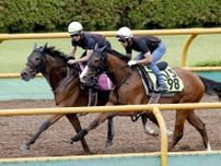 【函館２歳Ｓ】前日単勝１番人気はブラックチャリスの２・１倍　１０倍以下はレコードホルダー２頭含む３頭