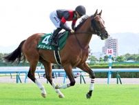 【小倉記念】苦しい走りのまま…１番人気のメリオーレムは９着　川田将雅騎手「暑さにやられたとしか」