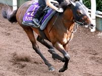 【東海Ｓ・ヤマタケの特注馬】６歳ダノンスコーピオンの「適性」とは　福永調教師から漂う勝負気配が怖い