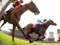 ゴール直前で急失速…オルフェーヴルの衝撃で池江師初めて悔し涙…日本競馬悲願の凱旋門賞Ｖの日を夢見て