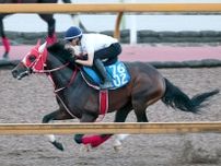 【東海Ｓ】砂無敗の４連勝　ビダーヤが一気の重賞制覇へ　３戦ぶり坂井瑠星騎手とのコンビで挑む