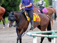 【関屋記念】悲願の重賞初制覇狙うボンドガールに試練　手塚調教師「状態はすごくいいけど…」