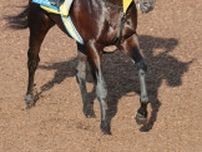 【東海Ｓ】エートラックスが重賞連勝へ　アレクシス・バデル騎手との新コンビにも注目