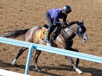 【関屋記念】“最強の１勝馬”ボンドガール屈辱の大敗から逆襲へあの手この手