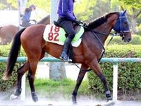 【ＰＯＧ】良血馬モートンアイランドが美浦トレセンでゲート試験に合格　手塚久調教師「けっこうバネがあって」