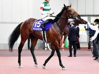 【ＰＯＧ】新種牡馬クリソベリル産駒のレッドレベンディスが２６日・中京芝千四でデビュー　庄野調教師「楽しみ」