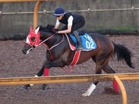 【東海Ｓ】ダート無敗４連勝のビダーヤは１枠２番　武豊騎手騎乗のヤマニンウルスは４枠７番　枠順確定