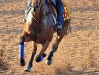 【関屋記念】単勝１番人気は“キング姐さん”騎乗のカナテープで４・５倍　ボンドガールが続く　前日最終オッズ