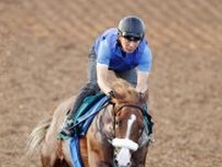 【新潟新馬戦・西山の特注馬】アーモンドアイの２番子プロメサアルムンドの最終追い切りに注目