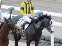 【注目馬動向】日本ダービー２着のマスカレードボールは天皇賞・秋での始動を目指す