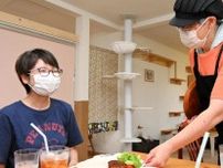 保護猫カフェにようこそ　増毛の石坂さん開業　民泊や就労支援にも挑戦へ