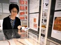約2千年前の漆塗り弓、石狩市指定文化財に　82年出土　資料館で展示、13日講演会