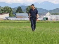 ＜争点の現場　2025参院選＞㊤　コメ増産に舵、農家疲弊　読めぬ需給、売れ残りも