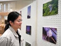 枝幸の自然　町民捉える　ミュージアムえさし写真展