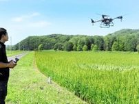 名寄のもち米　ドローン導入し農薬散布効率化