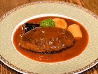 ＜これいいね！＞煮込みハンバーグ　うま味凝縮　デミグラスソース