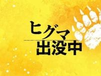 ＜札幌圏ヒグマ出没情報＞千歳で目撃、足跡発見