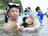 ウニ、ホタテいっぱい取れた　乙部「海のプール」オープン