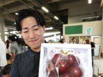 ルビーロマン七尾産１００万円　金沢市中央卸売市場で初競り　東京の果物販売店が購入　