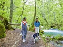 愛犬と大自然でリフレッシュ。「奥入瀬渓流ホテル by 星野リゾート」2泊3日｜おすすめモデルコース