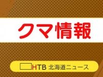 北海道・上ノ国町でクマ出没　住宅裏の畑のスイカやメロンが食い荒らされる　夜中にクマが畑に入ったか