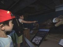夜のジャングルのような雰囲気に…「大恐竜展」夏休み特別企画でナイトミュージアム　サッポロファクトリー